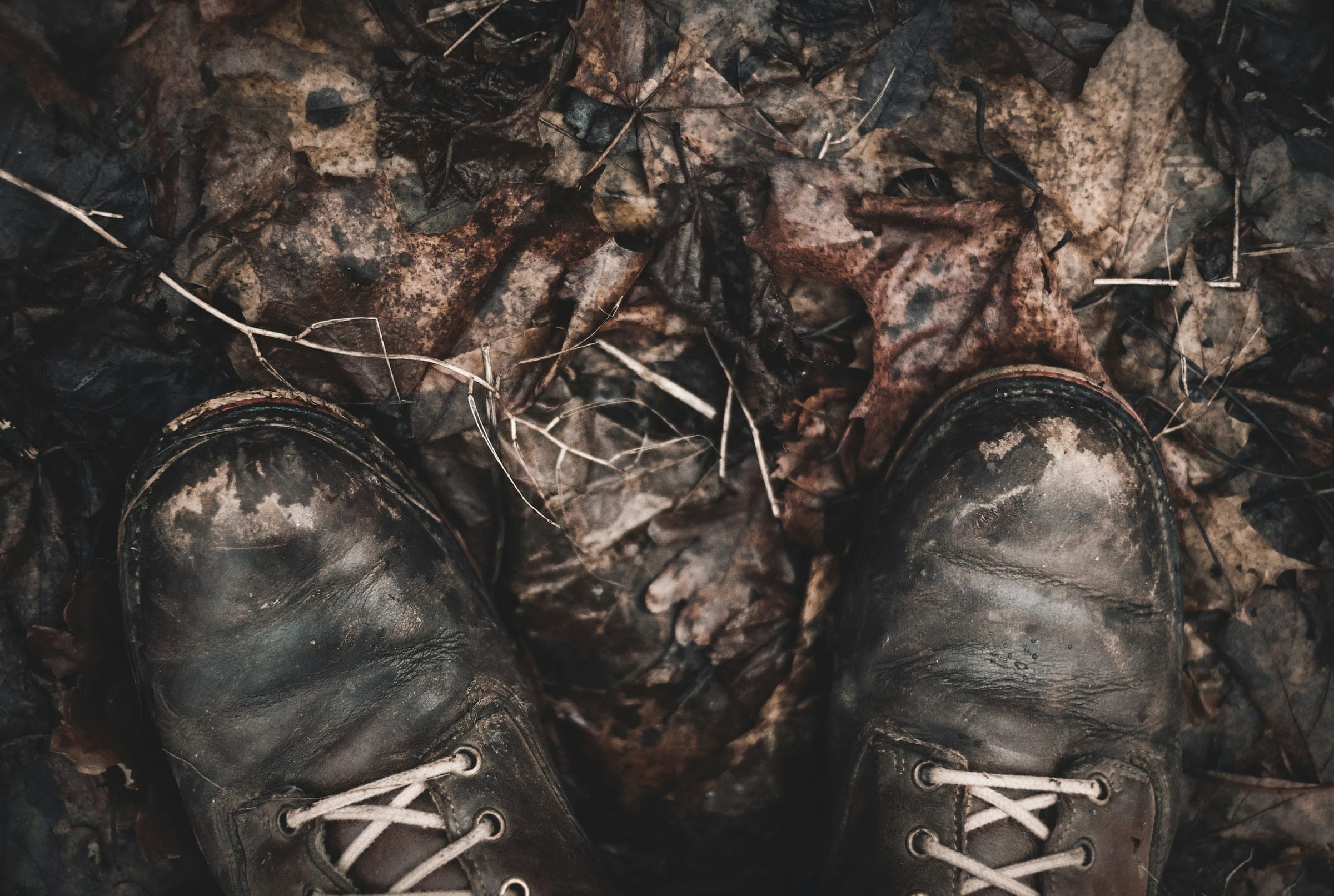 Worn black leather boots caked in mud, standing on wet fallen leaves